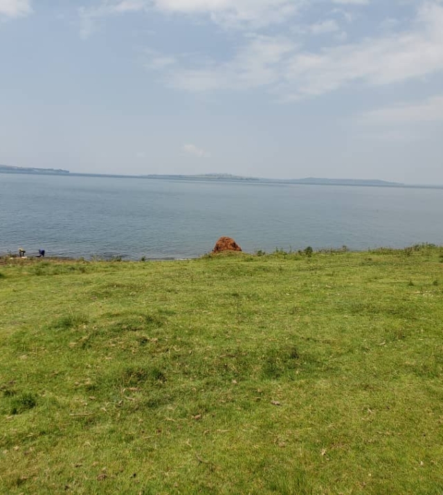 WhatsApp Image 2022-07-15 at 8.50.15 PM.jpeg